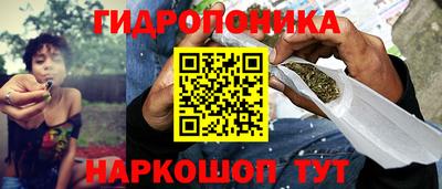 ПСИЛОЦИБИНОВЫЕ ГРИБЫ Кулебаки