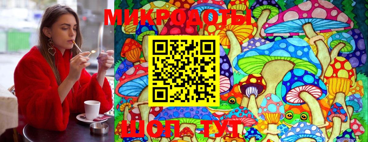 Губкин  Галлюциногенные грибы прущие грибы  Вход с VPN  Псилоцибиновые грибы ЛСД 