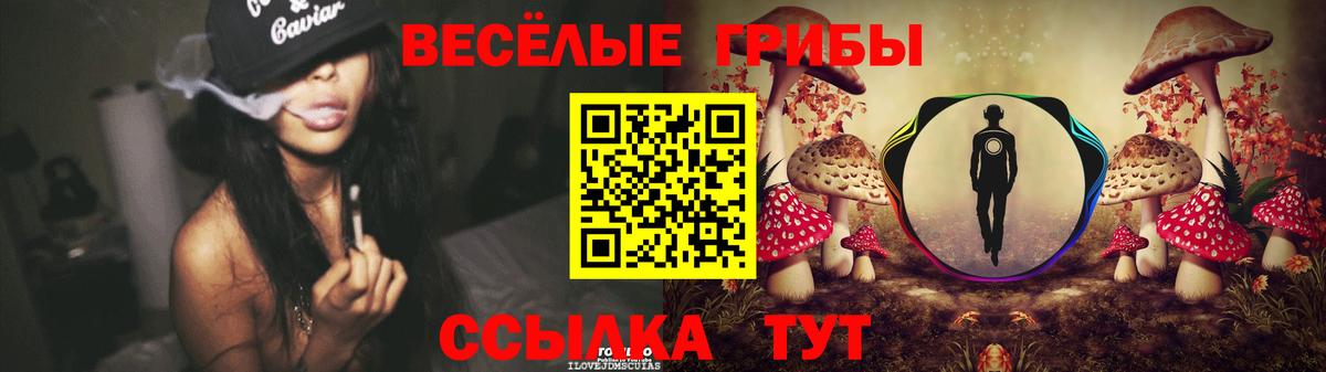 Галлюциногенные грибы мицелий Губкин